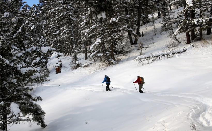 戶外滑雪運動圖片