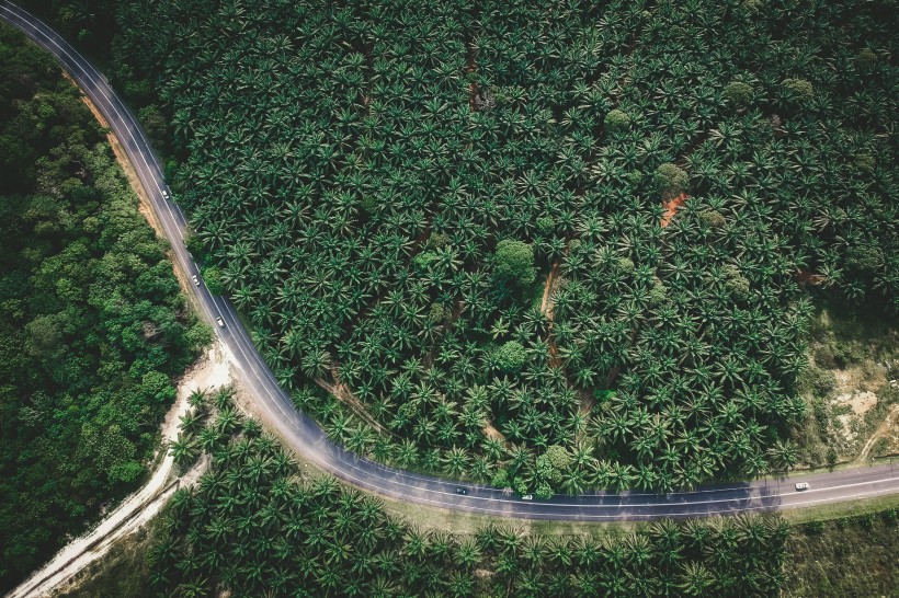 蜿蜒的公路圖片