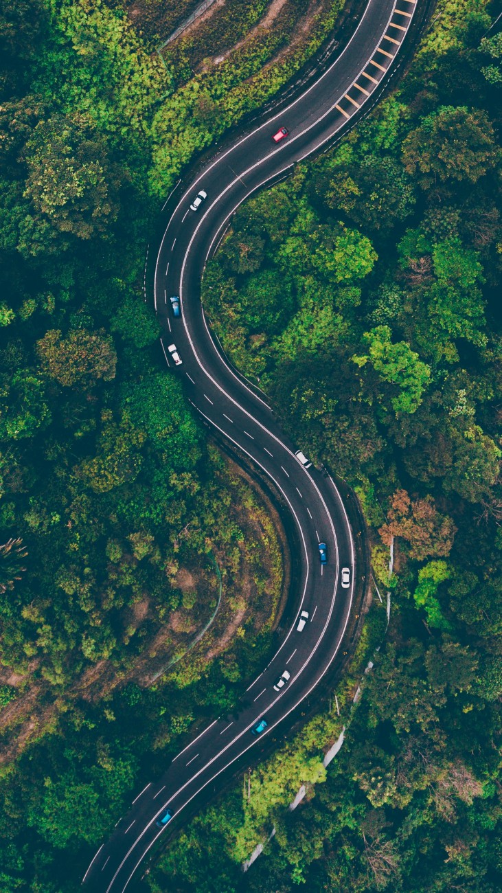 森林中蜿蜒的公路航拍圖片