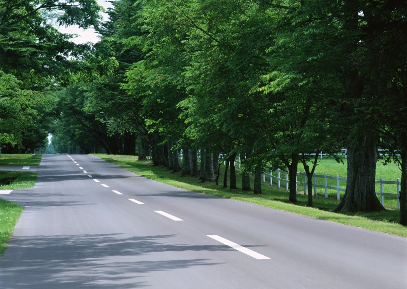 道路景觀圖片