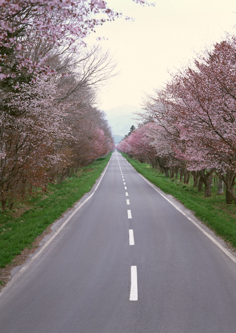 道路景觀圖片