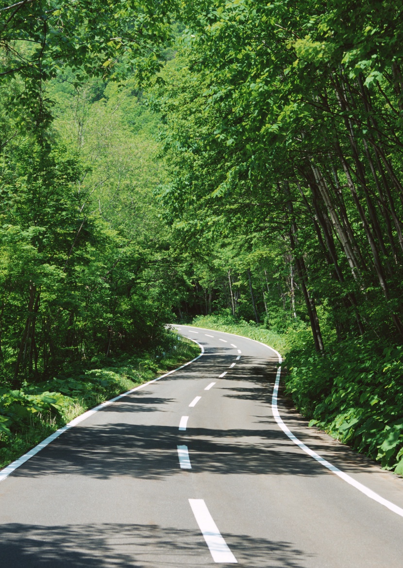 道路景觀圖片