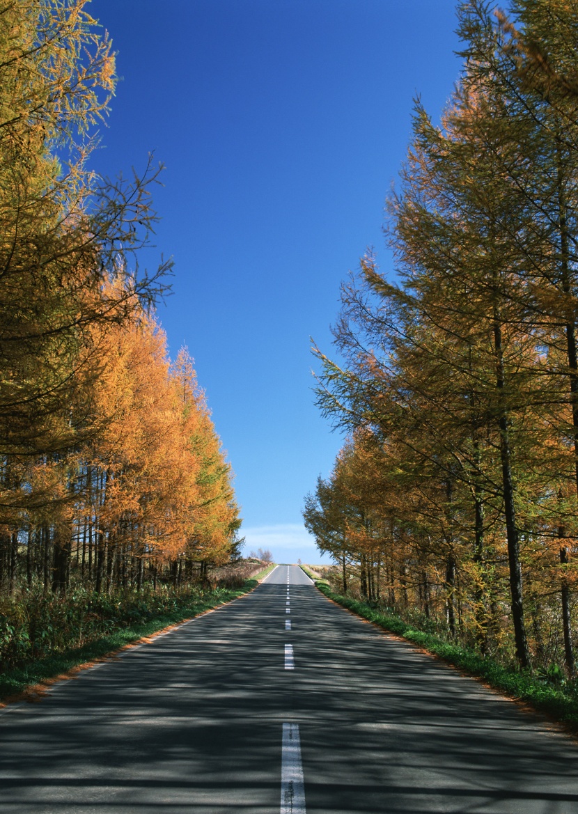 道路景觀圖片