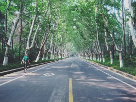 唯美的公路圖片