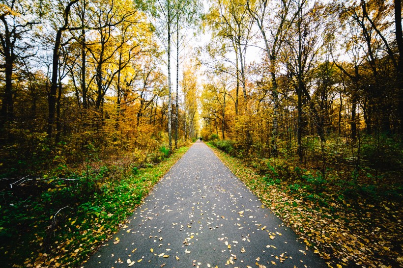 唯美的公路圖片