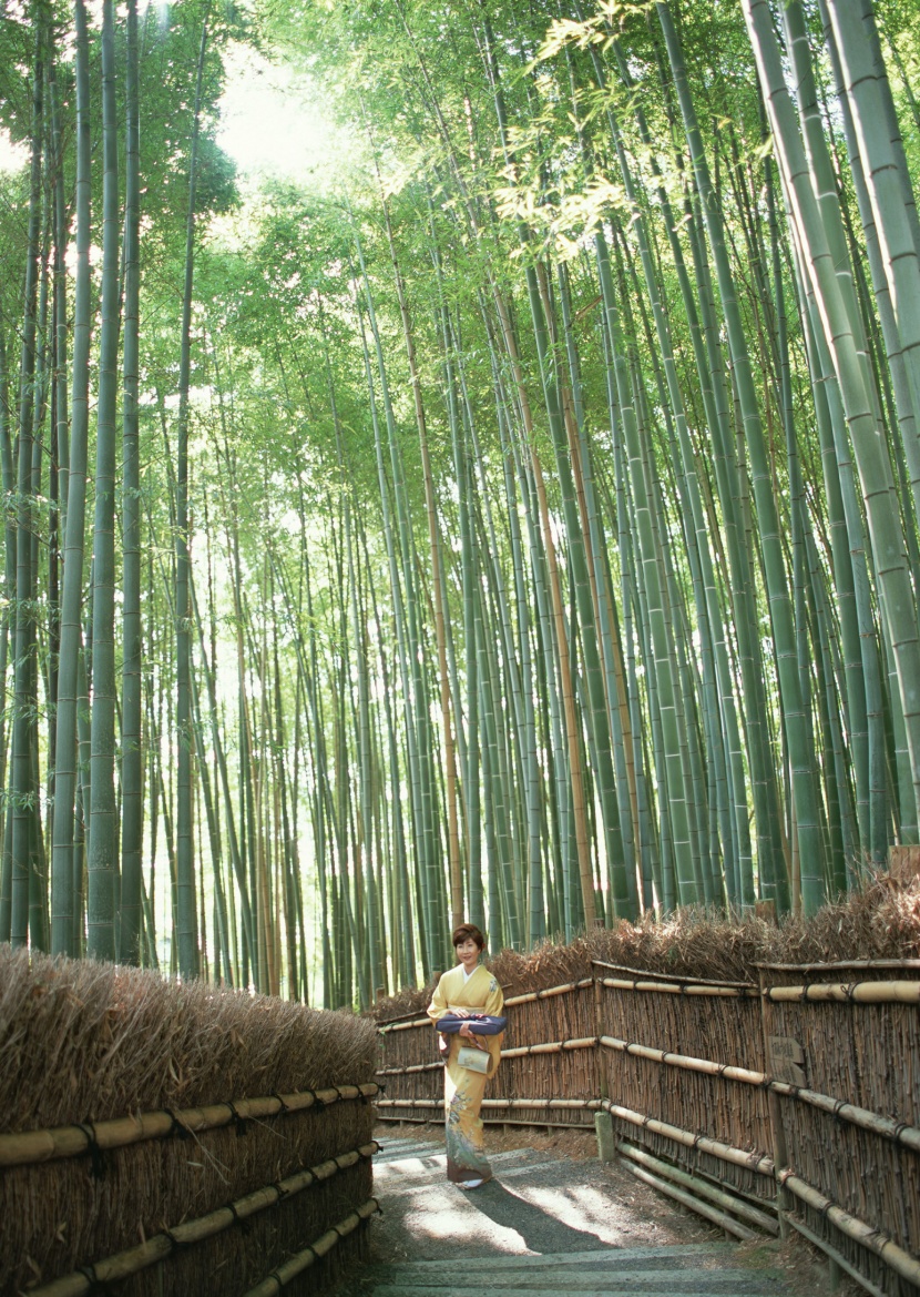 日式房子圖片