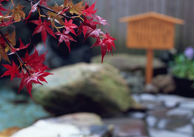 日式小屋圖片