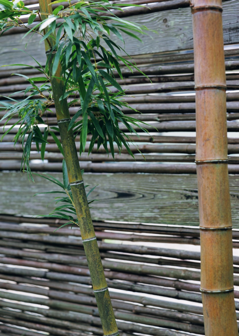 日式小屋圖片