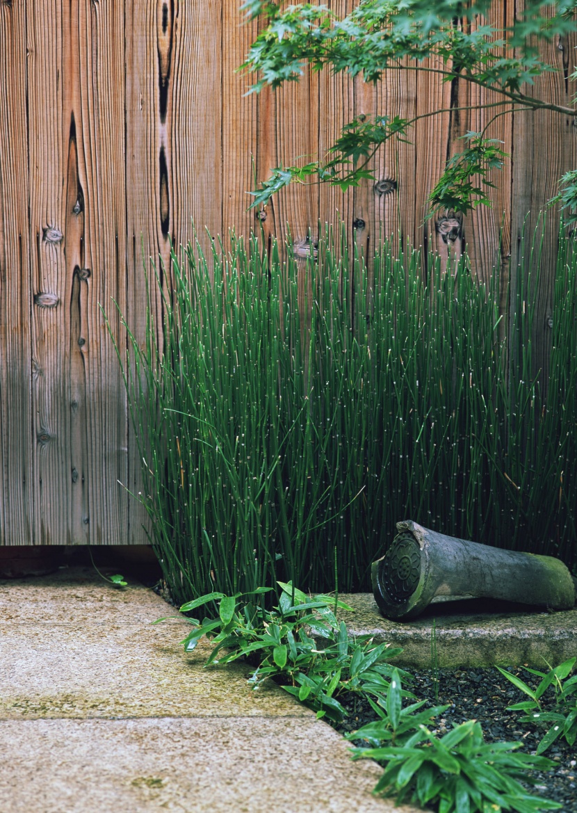 日式小屋圖片