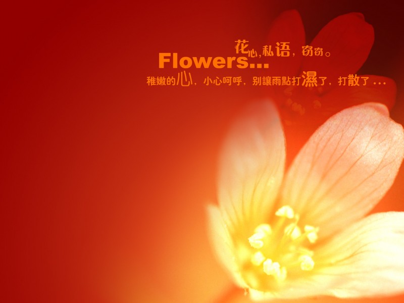 兒童相冊圖片