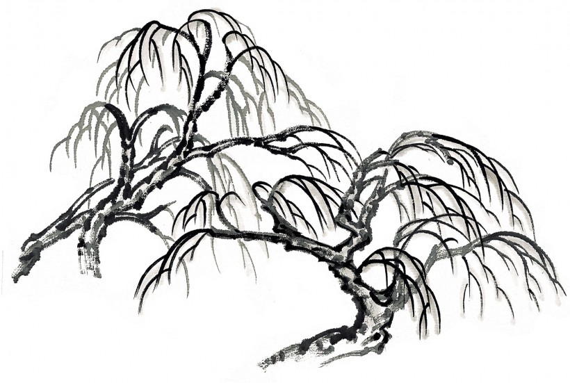 水墨柳樹圖片