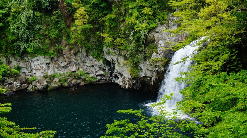 韓國濟州島天地淵瀑布自然風景圖片