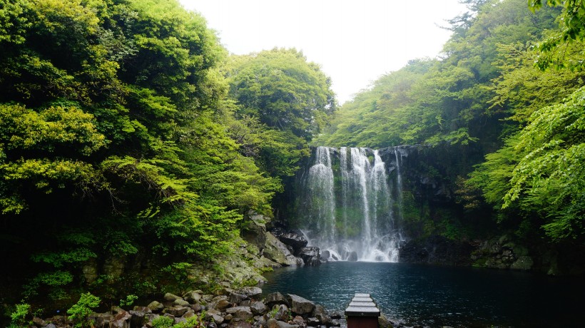 韓國濟州島天地淵瀑布自然風景圖片