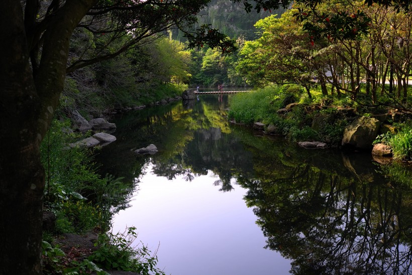 韓國濟州島天地淵瀑布自然風景圖片