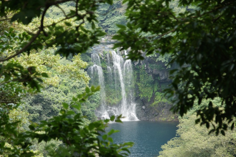 韓國濟州島天地淵瀑布自然風景圖片