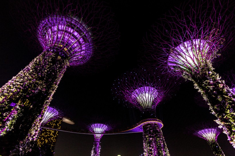 新加坡華麗的建築風景圖片