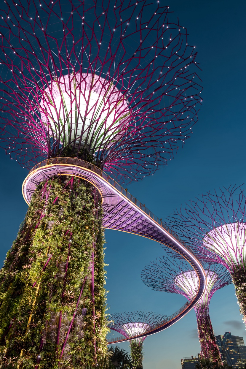 新加坡華麗的建築風景圖片
