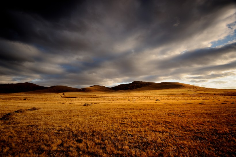 唯美内蒙古壩上草原秋季風景圖片
