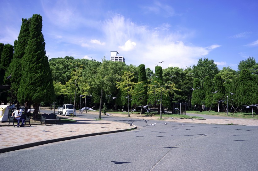 日本大阪城公園城市風景圖片