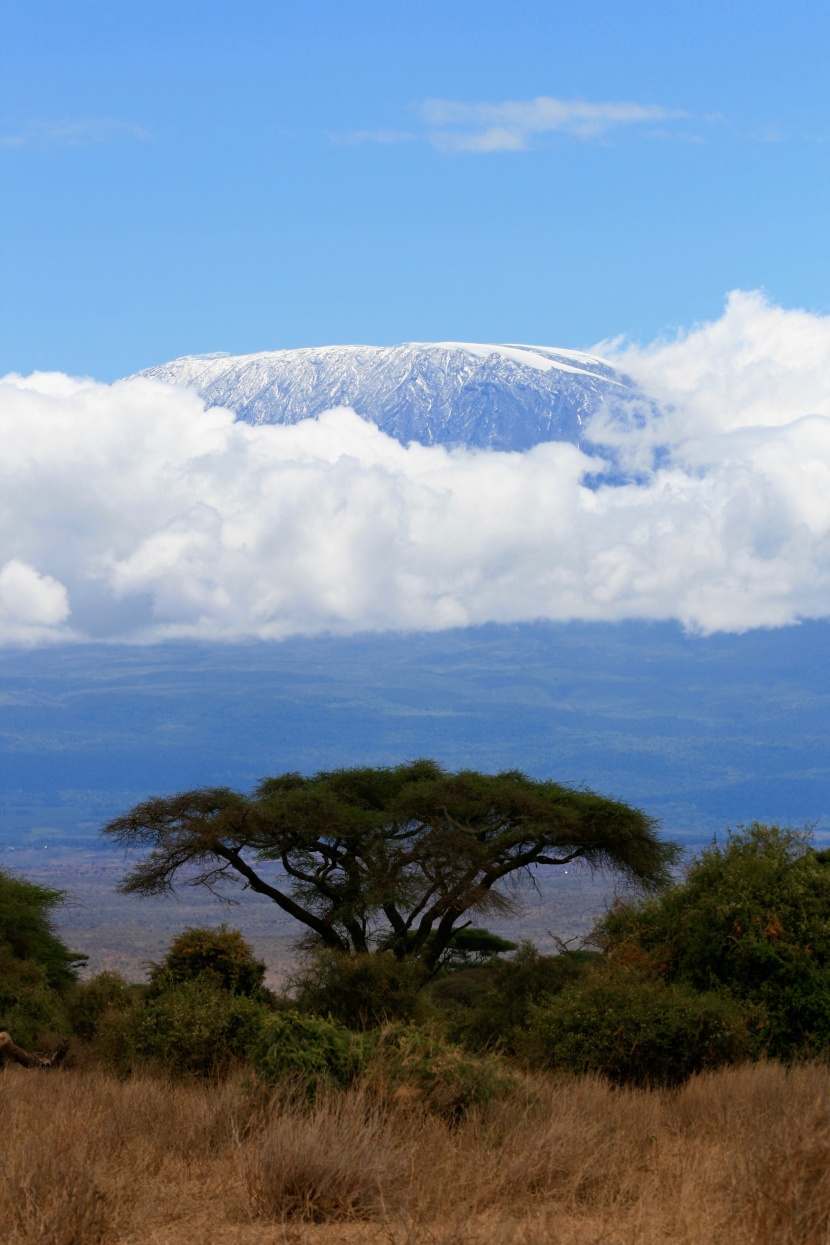 坦桑尼亞乞力馬紮羅山風景圖片
