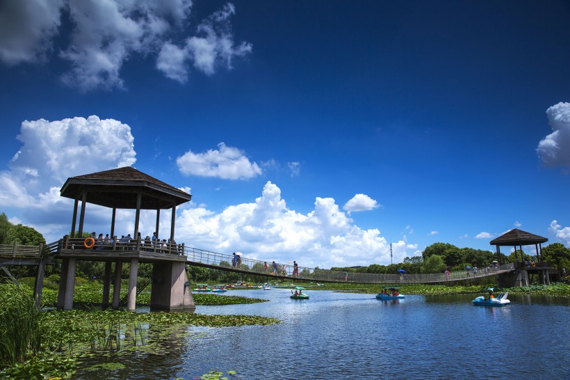 山東膠州濕地公園風景圖片