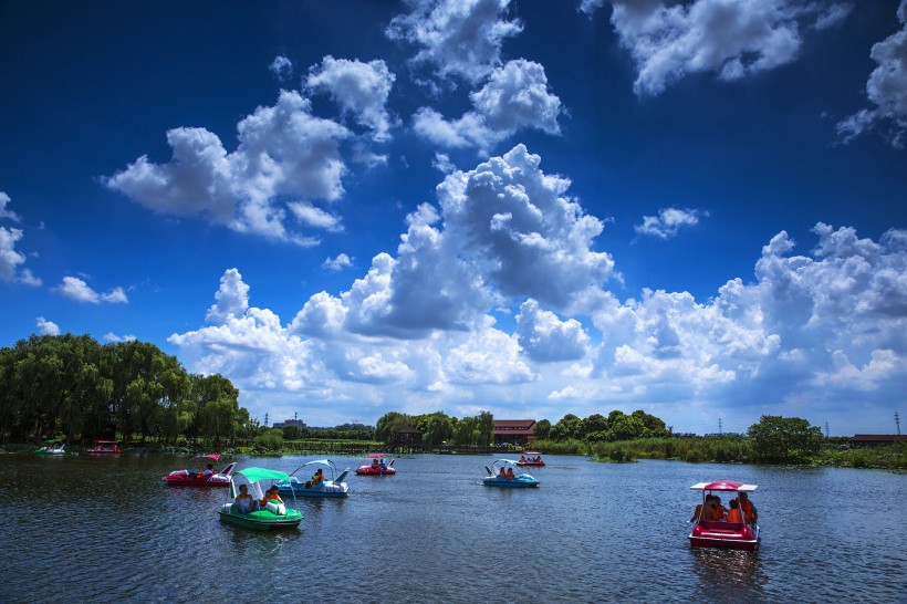 山東膠州濕地公園風景圖片