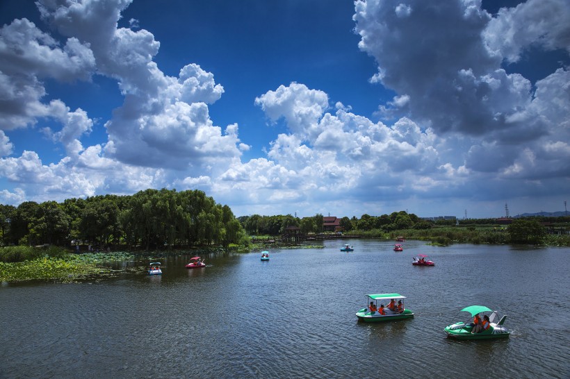 山東膠州濕地公園風景圖片