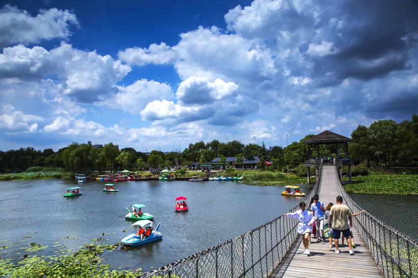 山東膠州濕地公園風景圖片