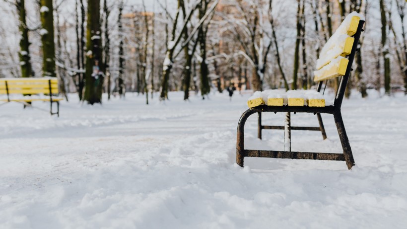 公園裡的雪景圖片