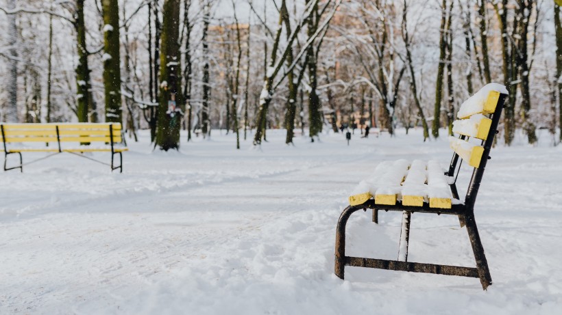 公園裡的雪景圖片