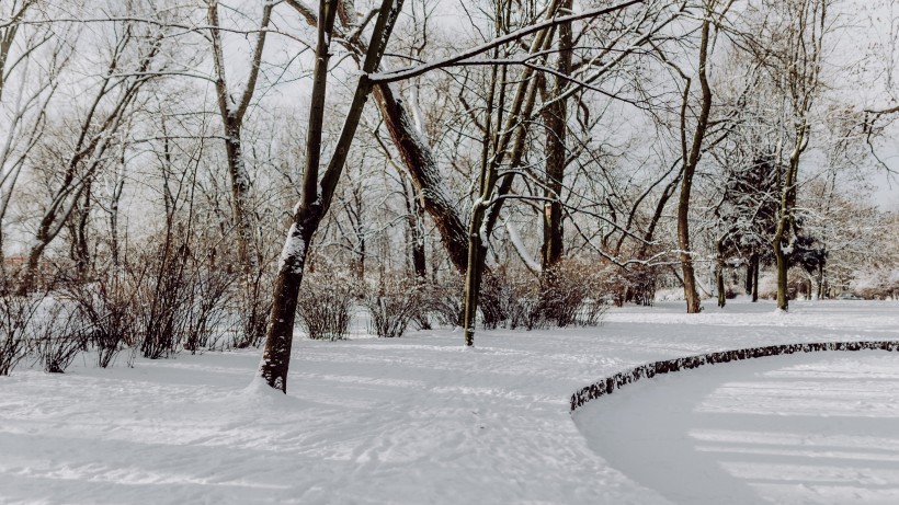 公園裡的雪景圖片