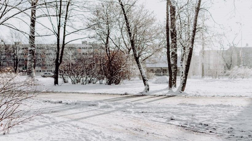 公園裡的雪景圖片